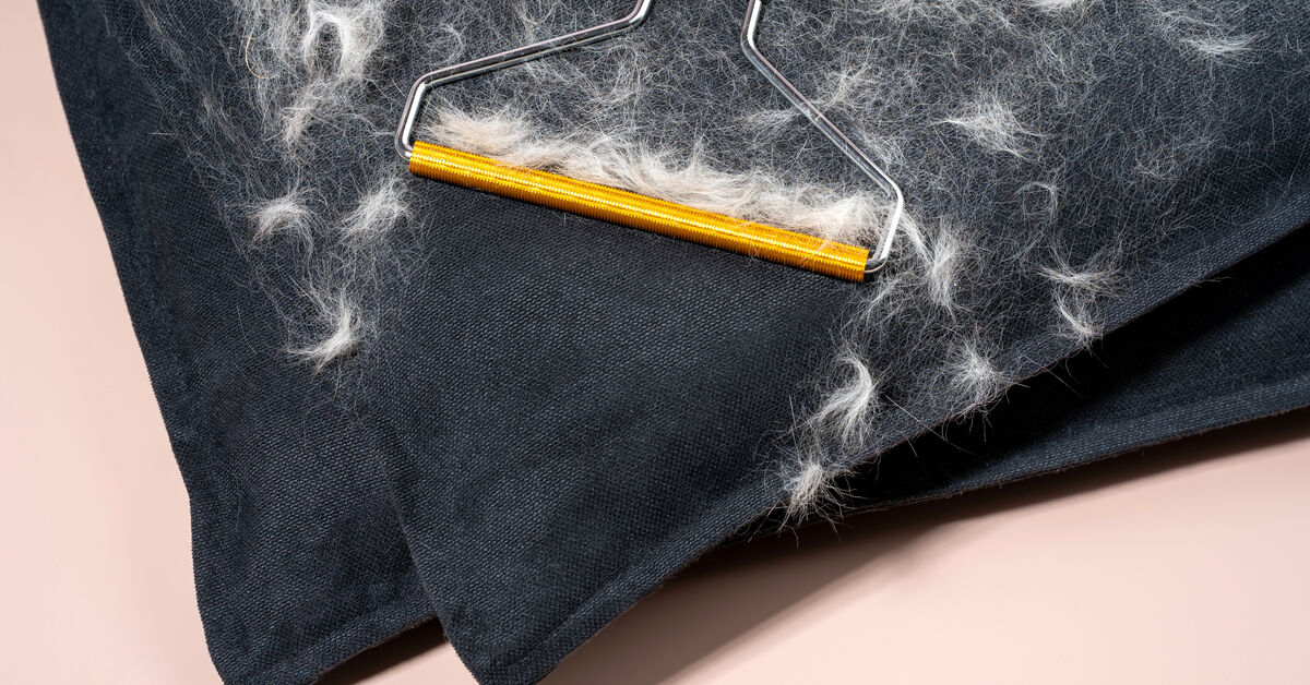 Pet hair stuck in upholstery fabric