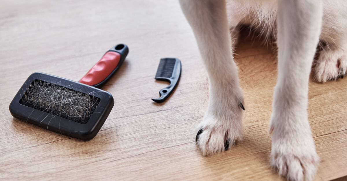 Pet hair removal tools for upholstery