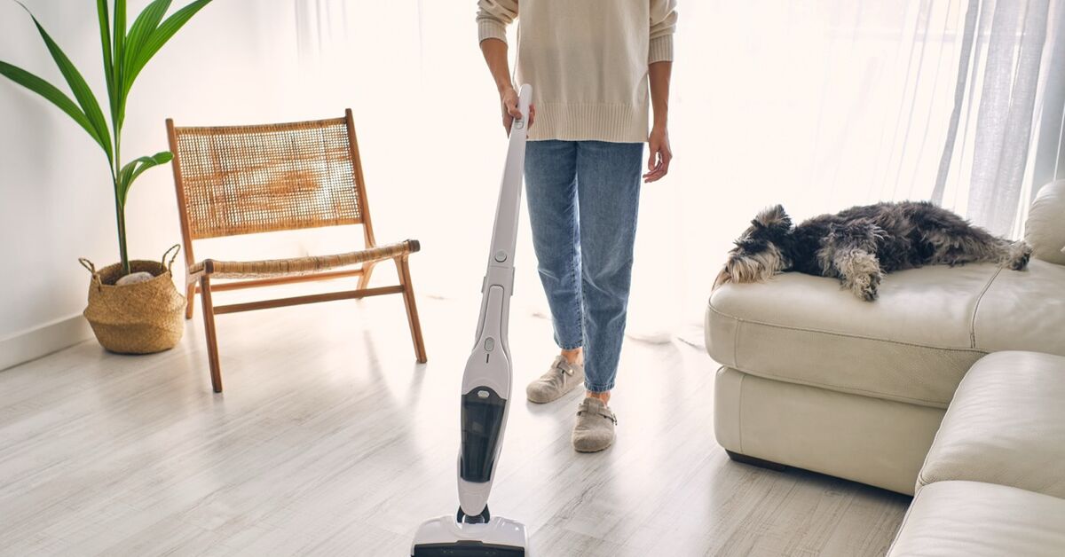 Vacuum beside sofa in living room