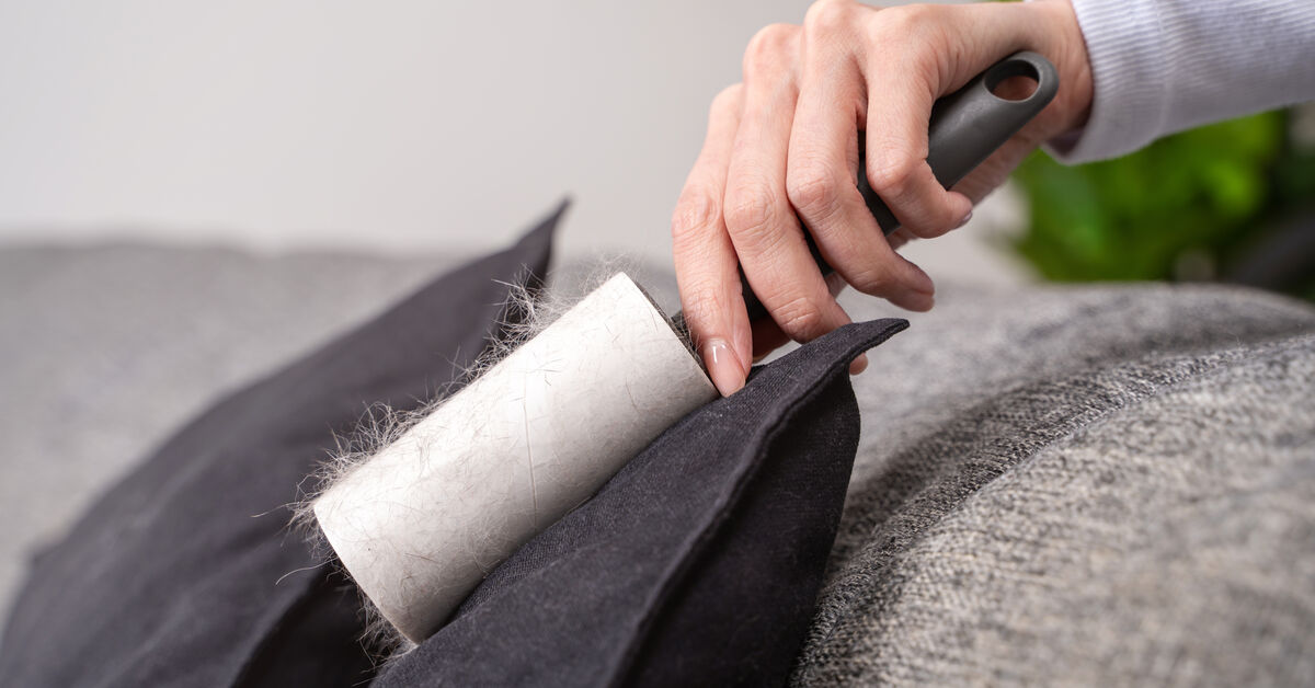 Hair clump holding dust and allergens