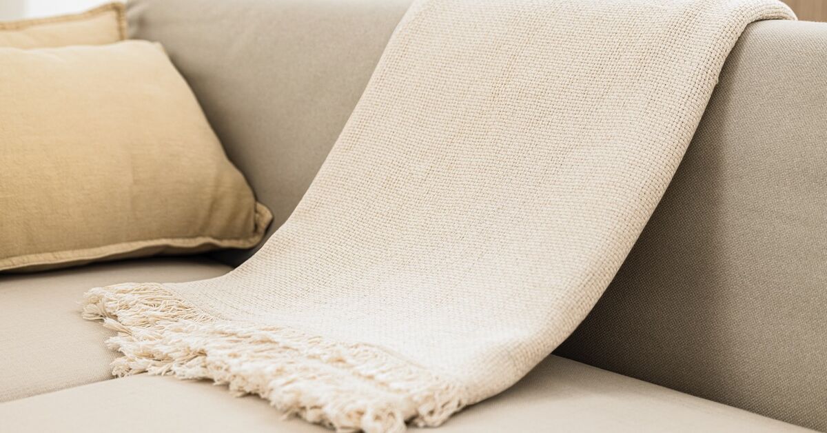 Protective throw blanket on sofa