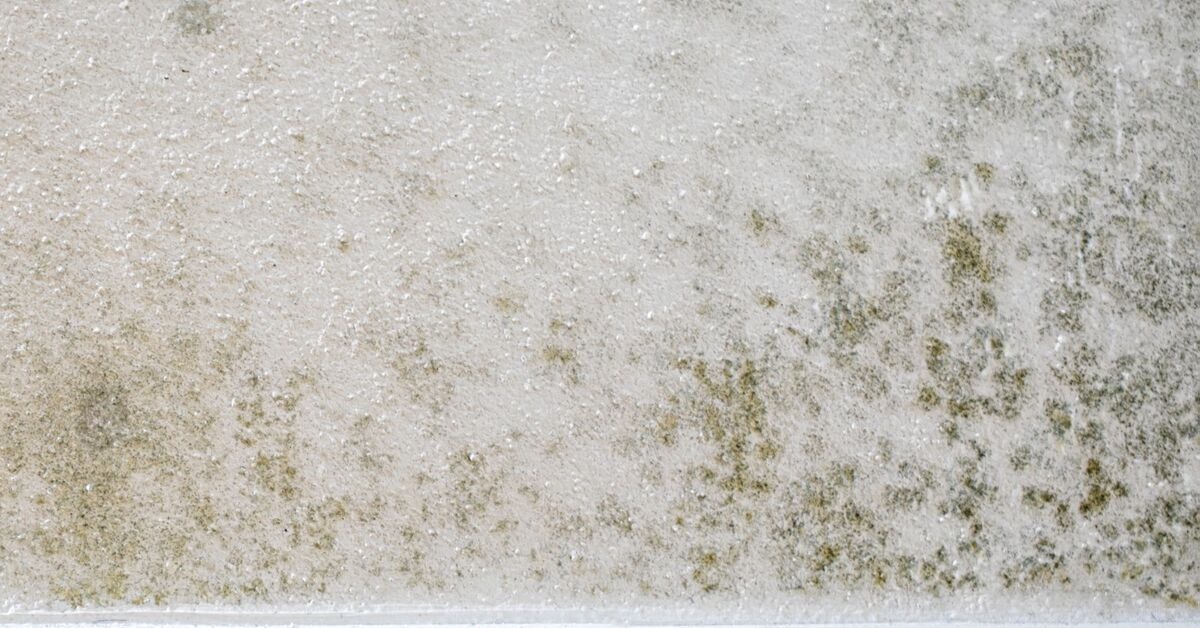 Mold growing on bathroom sealant