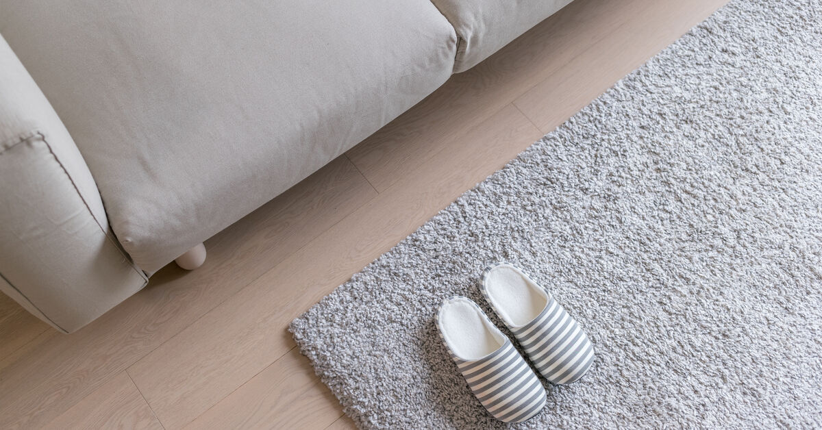Expert assessing carpet cleaning needs