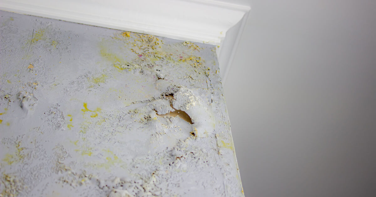 Textured wall surface in close view