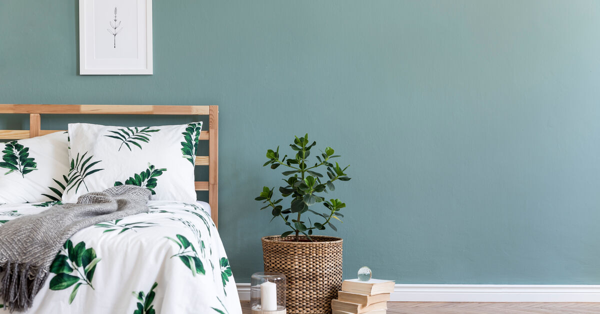 Clean wall in tidy bedroom