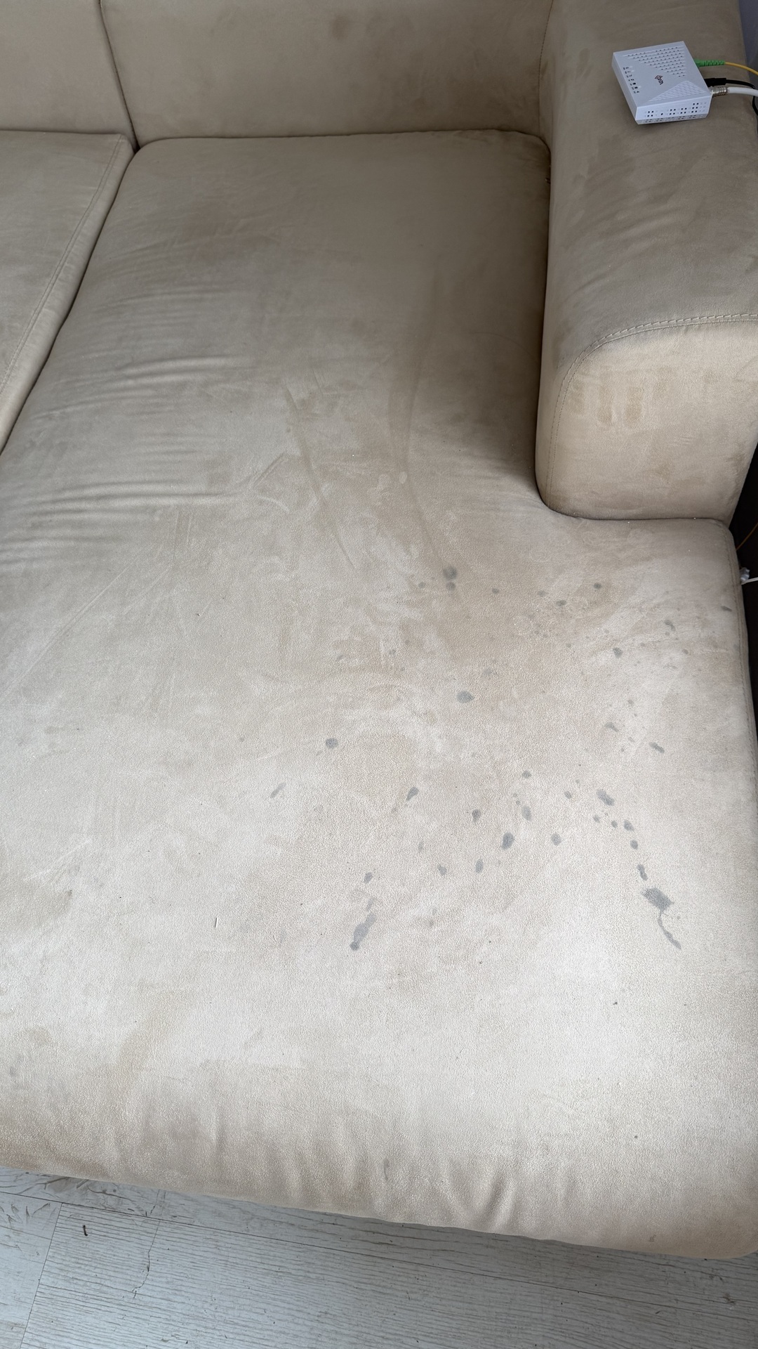 Before photo for Sofa reinigen