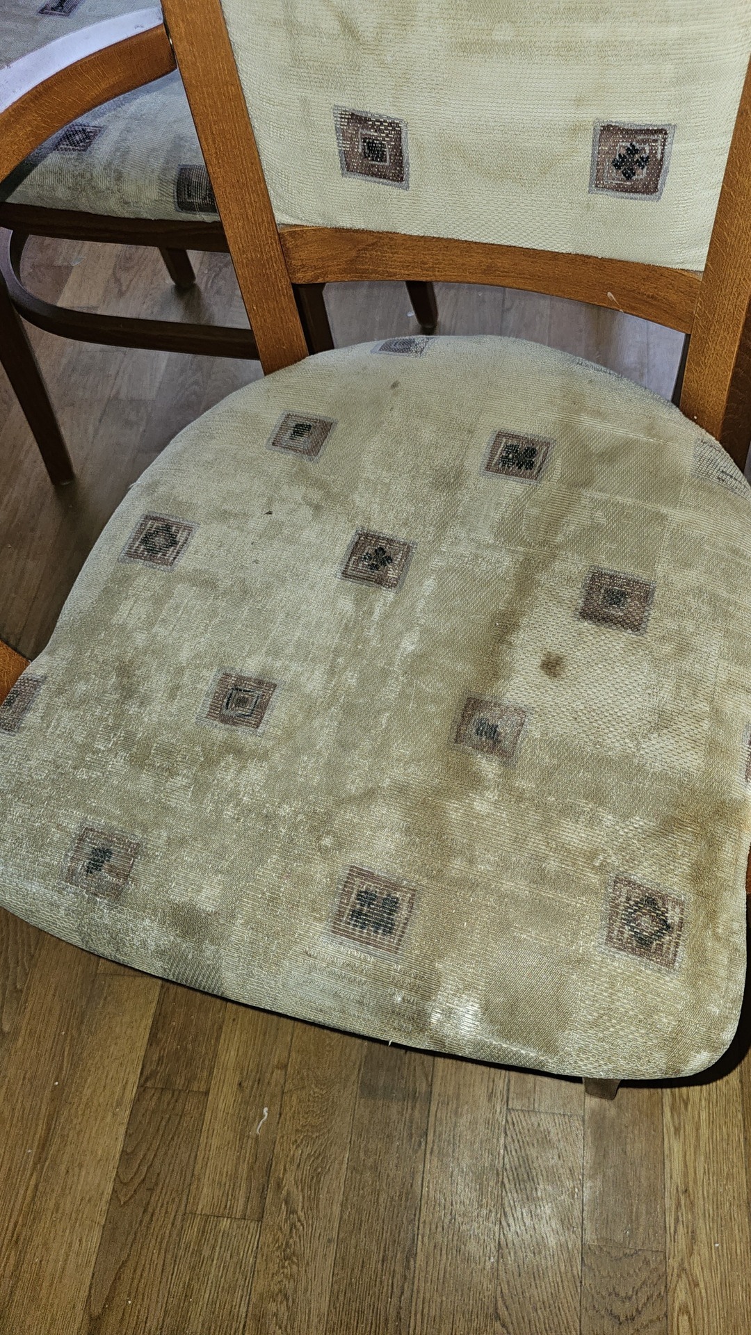 Before photo for Sofa reinigen