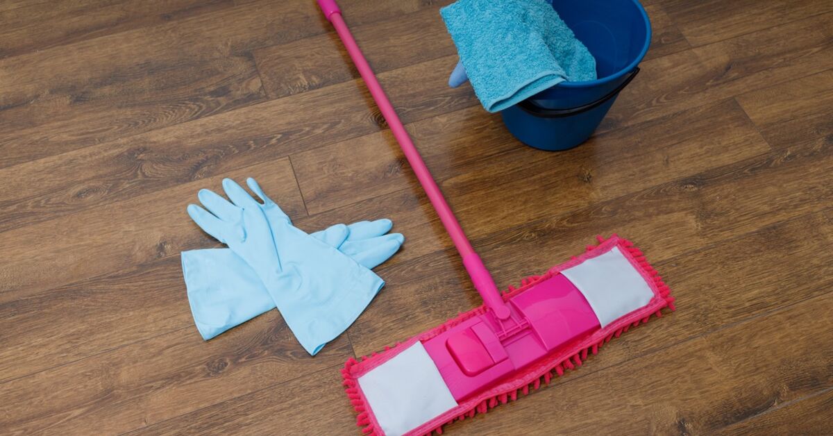 Mop and cloth for wood floors