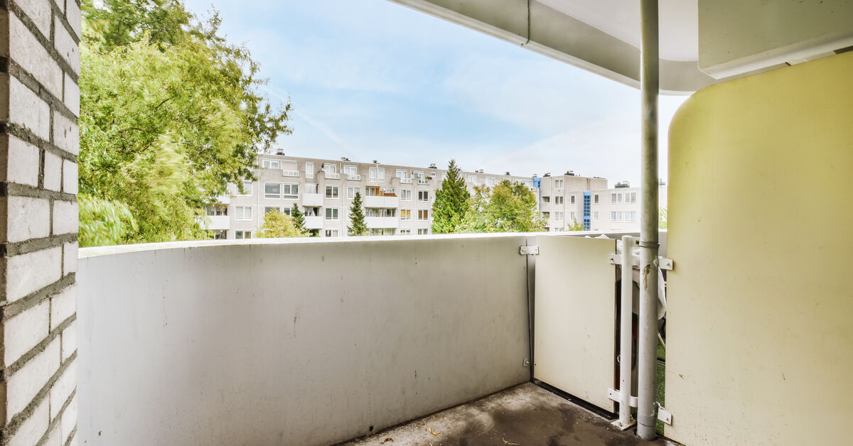 Moss and standing water on balcony