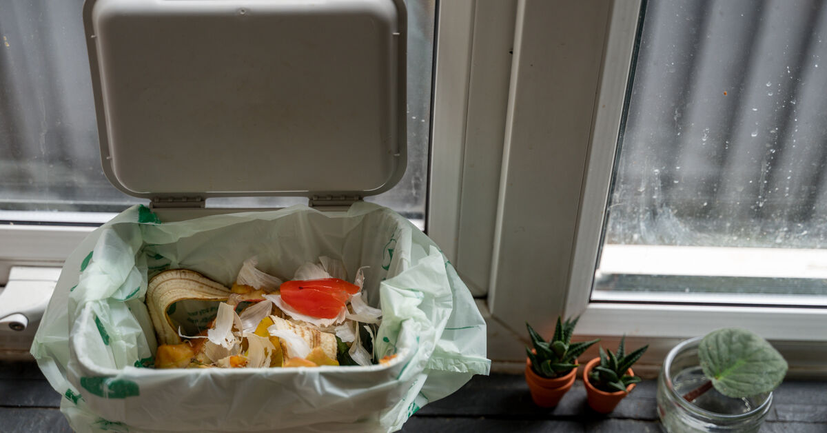 Rotting organic waste causing strong odors