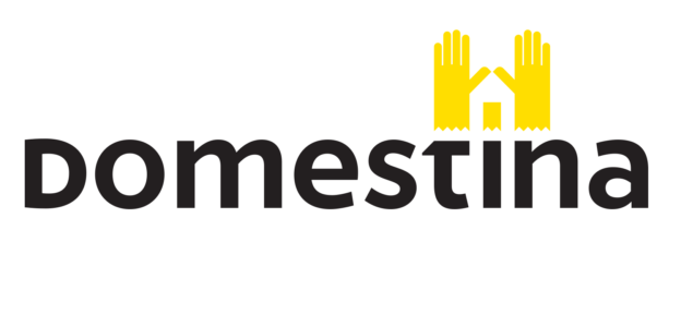 Logotipo de Domestina España