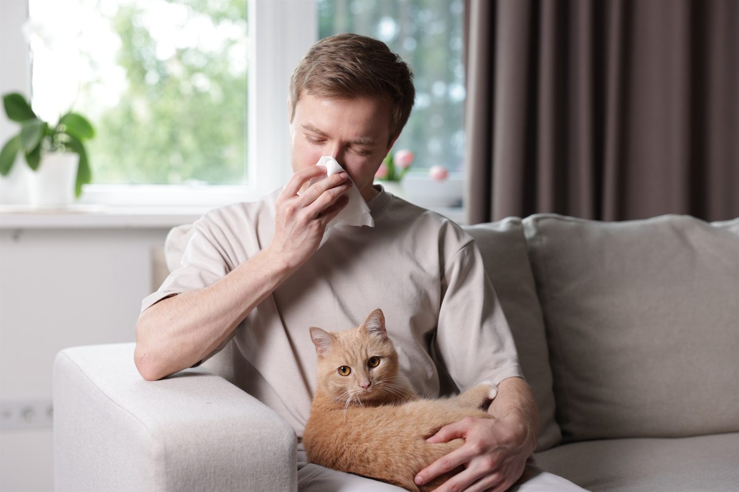 Ein Mann sitzt mit einer orangefarbenen Katze auf dem Schoß auf einem Sofa und hält ein Taschentuch an die Nase.