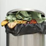 Mülleimer und Biotonne reinigen – Was hilft gegen Geruch und Maden?