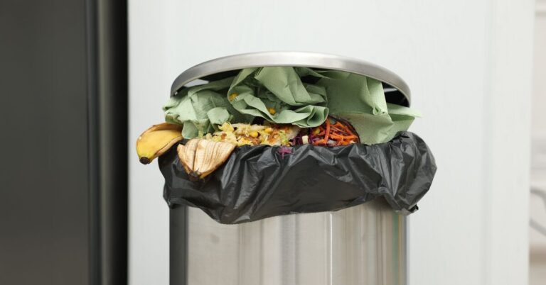 Mülleimer und Biotonne reinigen – Was hilft gegen Geruch und Maden?